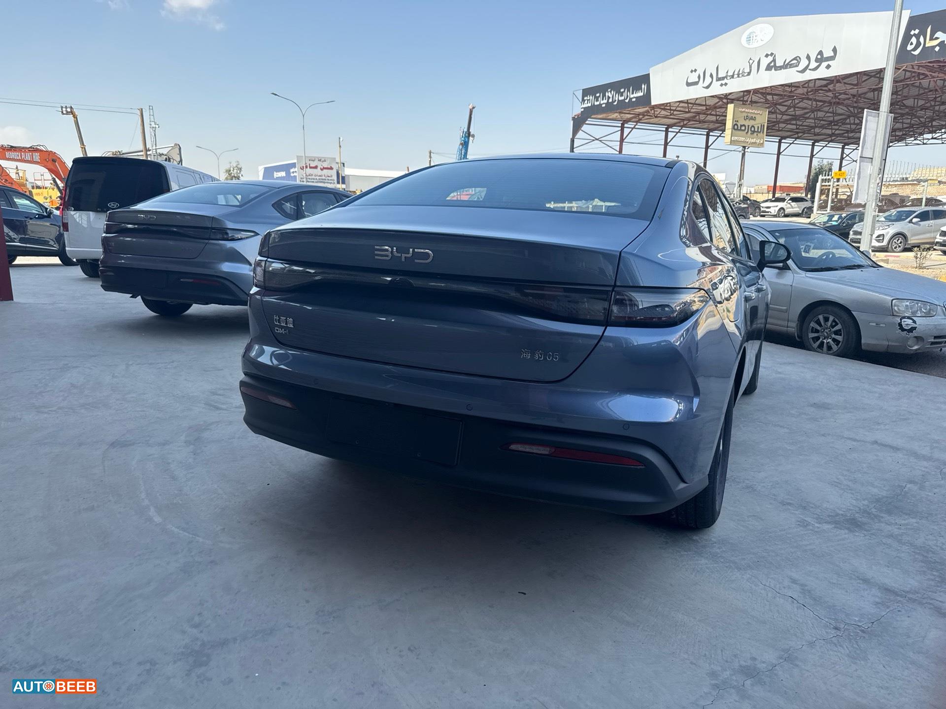 بي واي دي سيل 2025