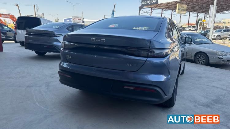 بي واي دي سيل 2025