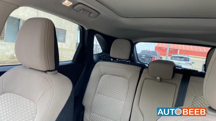 فورد اسكايب 2020