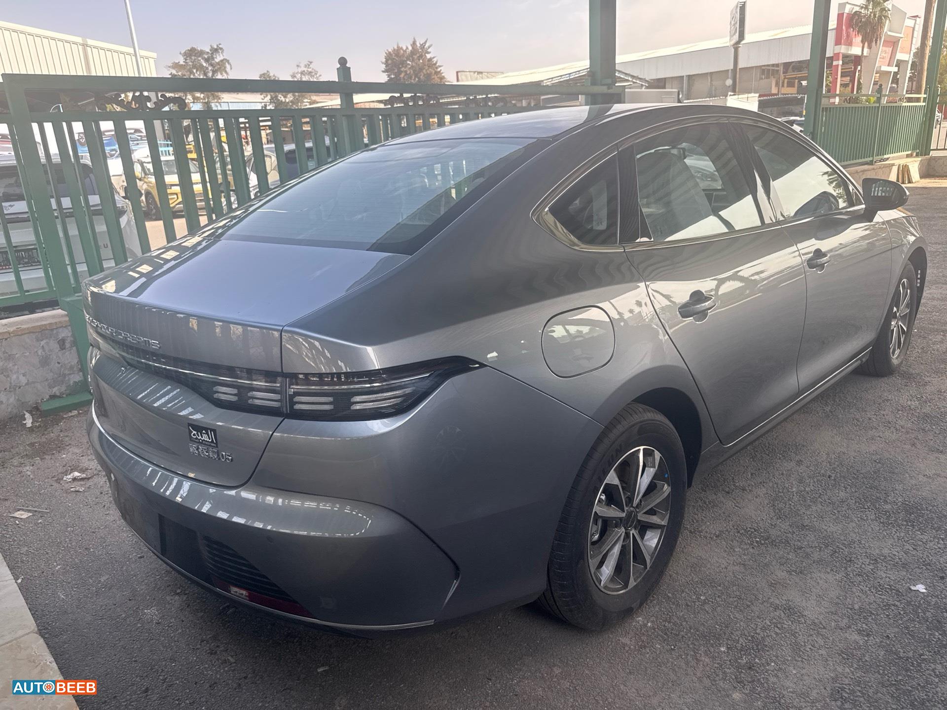 بي واي دي ديستروير 2025