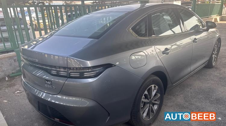 بي واي دي ديستروير 2025