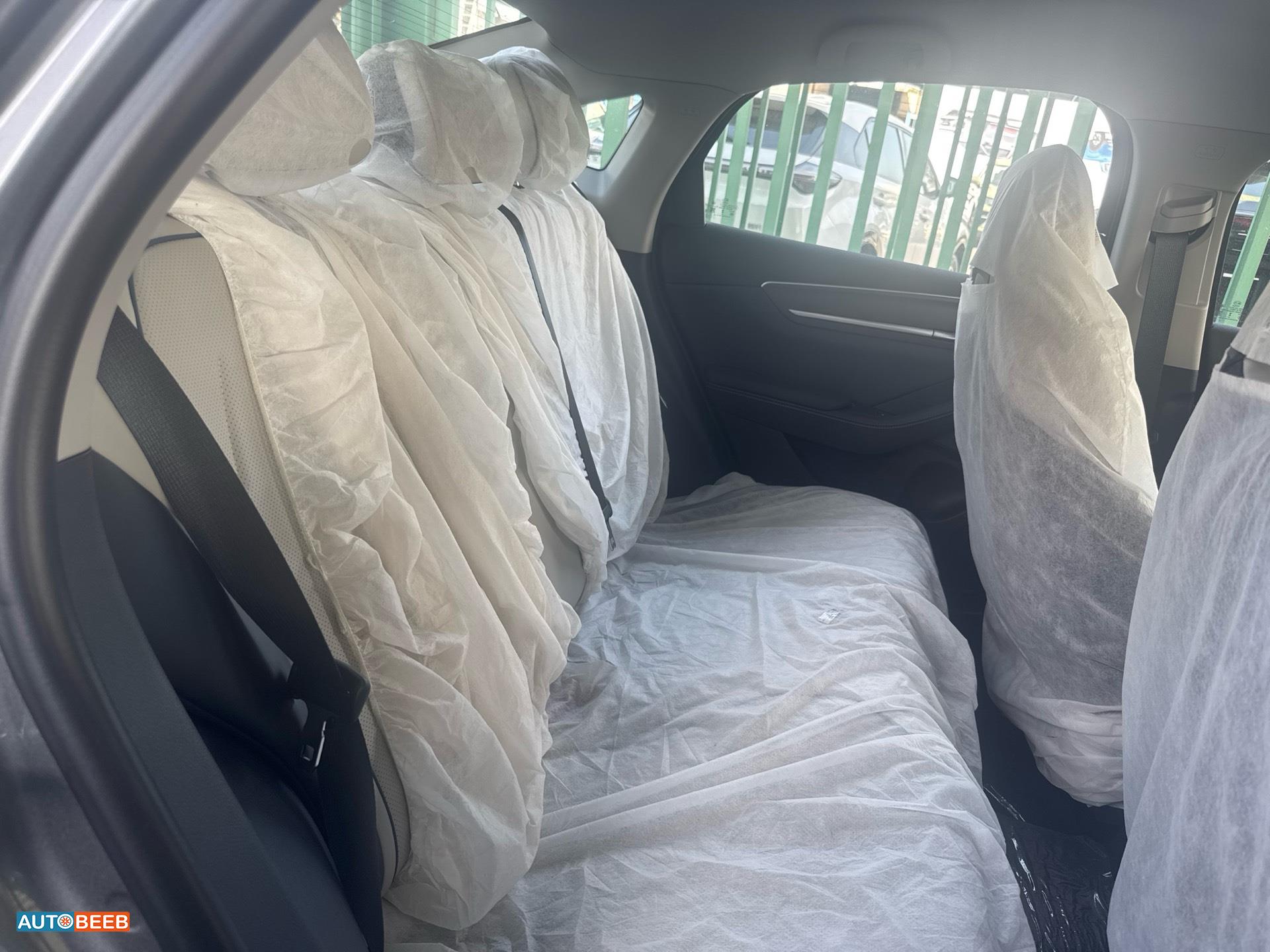 بي واي دي ديستروير 2025