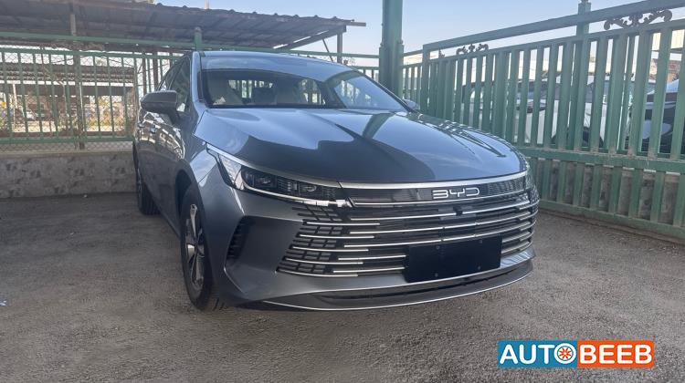 بي واي دي ديستروير 2025