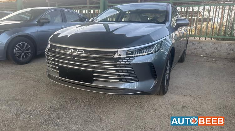 بي واي دي ديستروير 2025