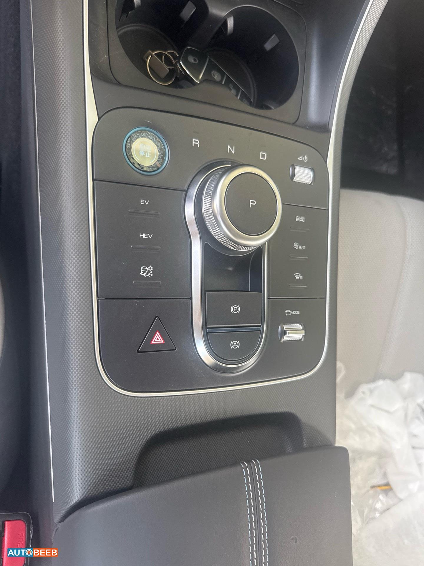 بي واي دي ديستروير 2025