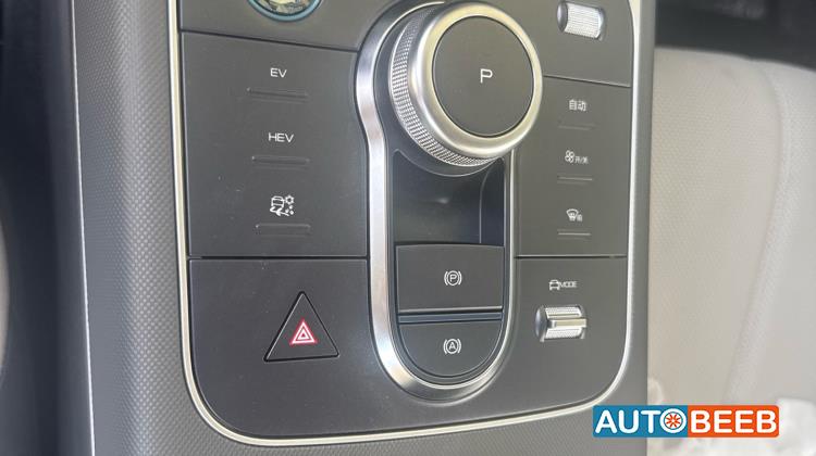 بي واي دي ديستروير 2025