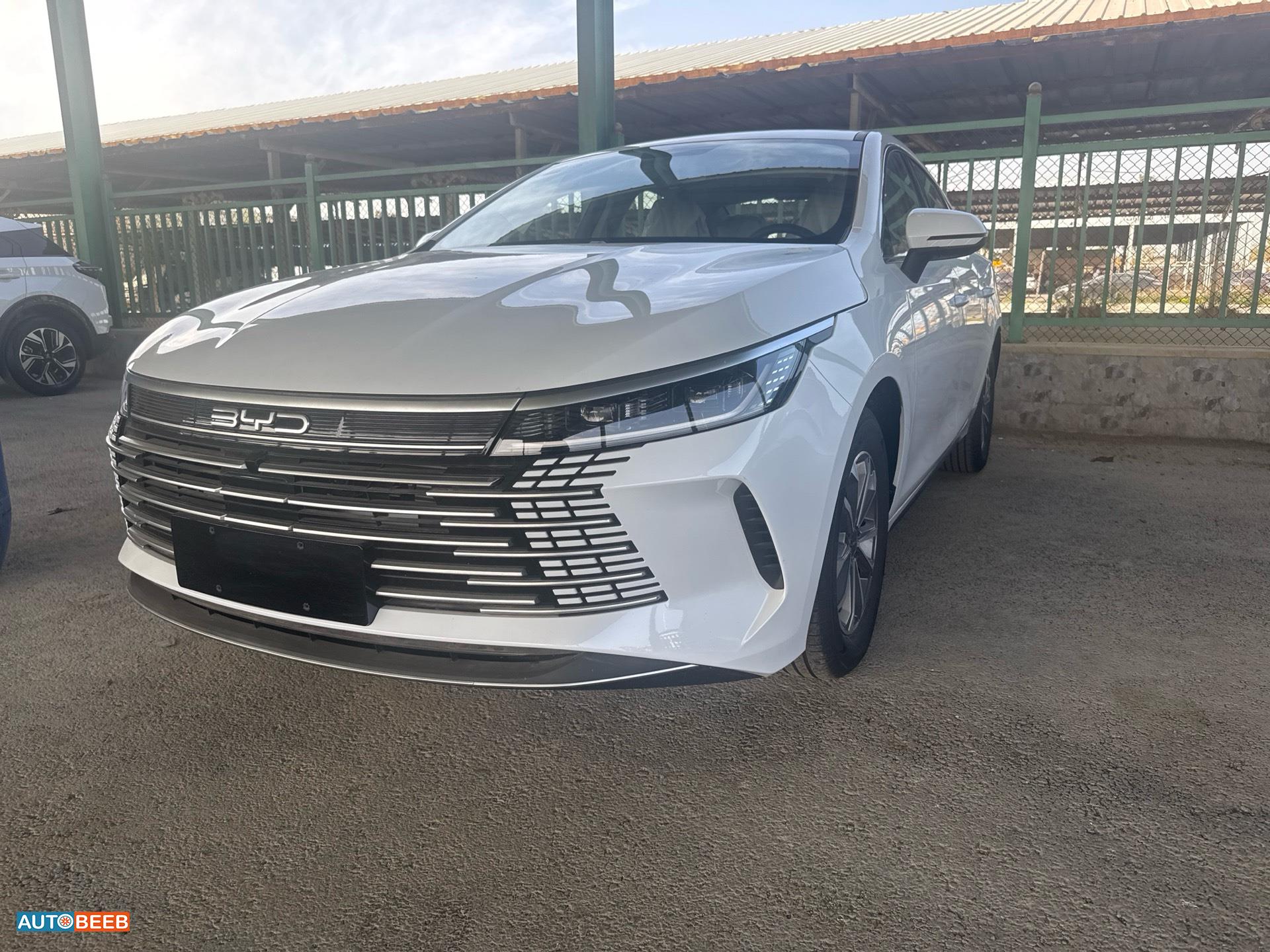 بي واي دي ديستروير 2025