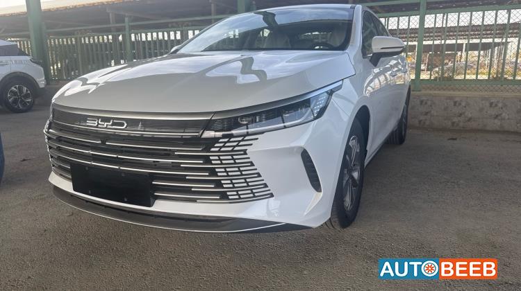 بي واي دي ديستروير 2025