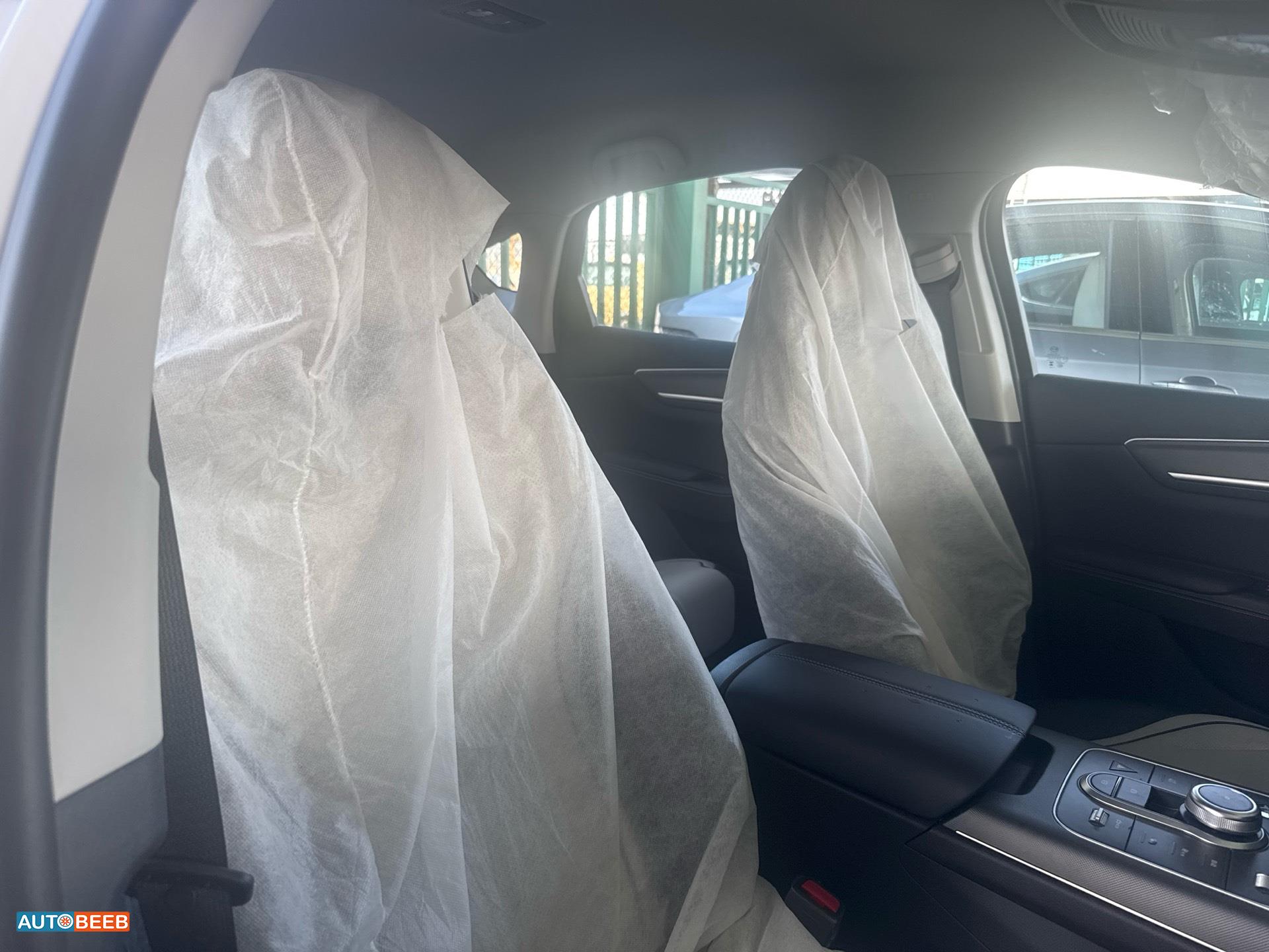 بي واي دي ديستروير 2025