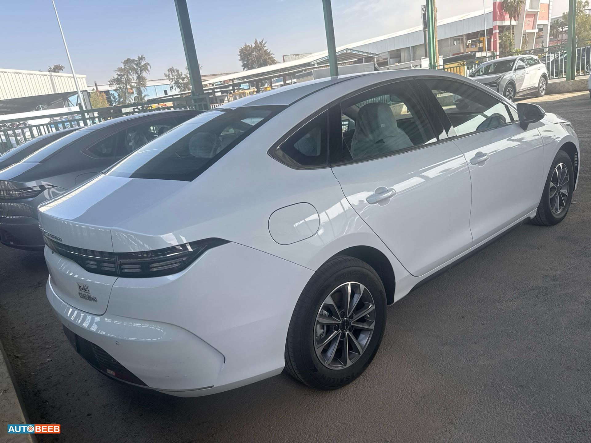 بي واي دي ديستروير 2025