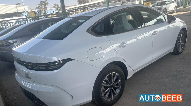 بي واي دي ديستروير 2025