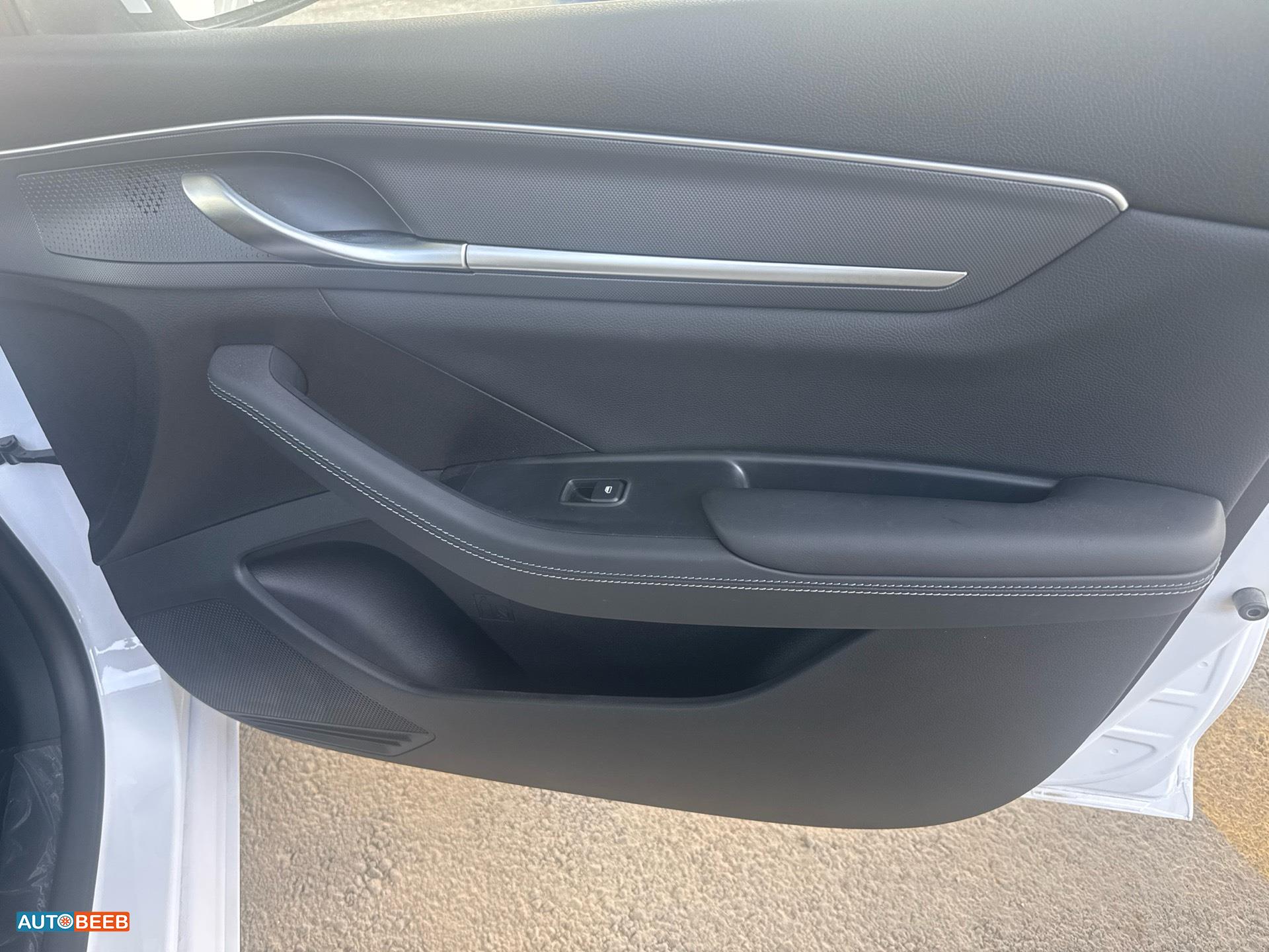 بي واي دي ديستروير 2025