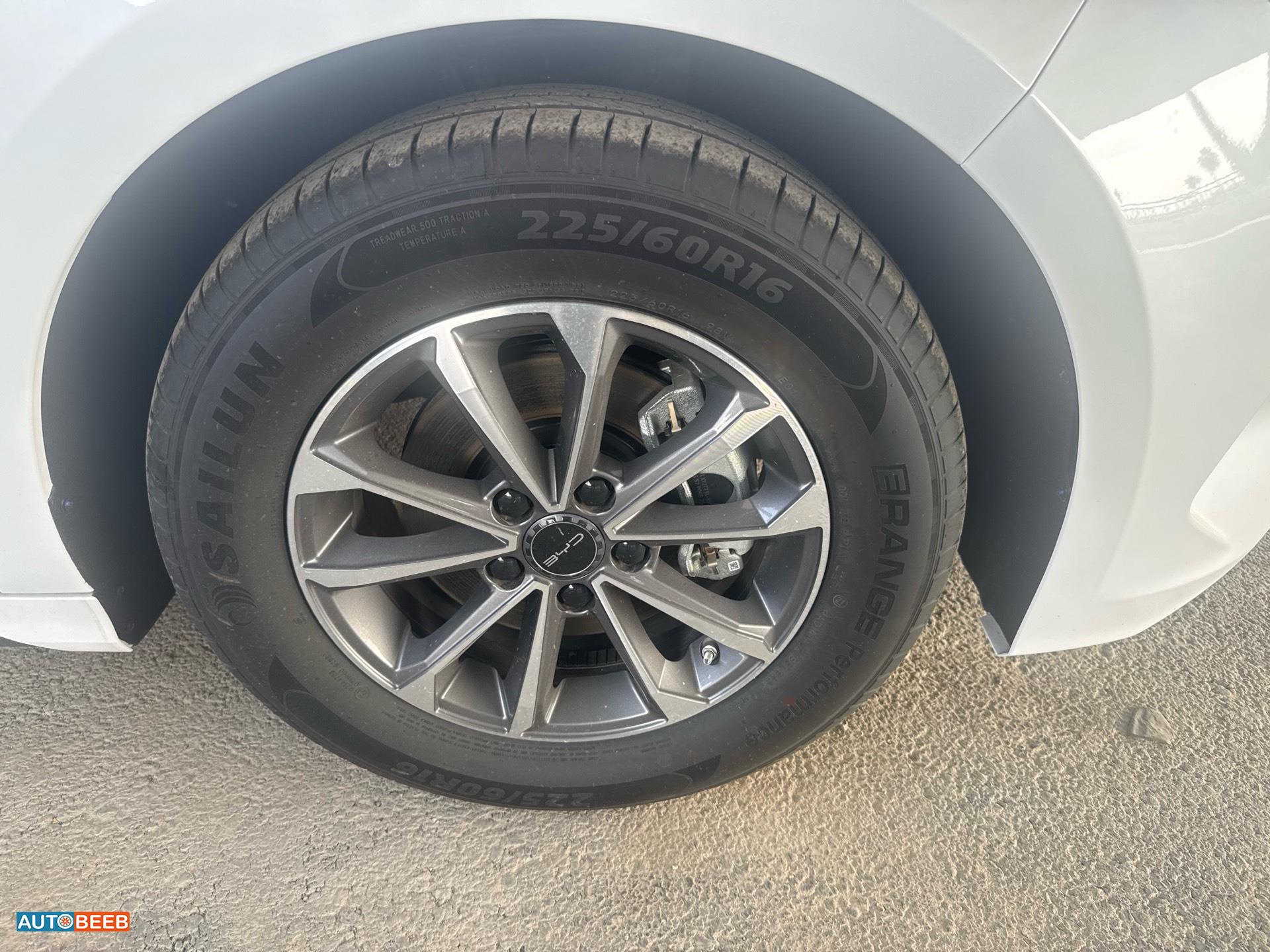 بي واي دي ديستروير 2025