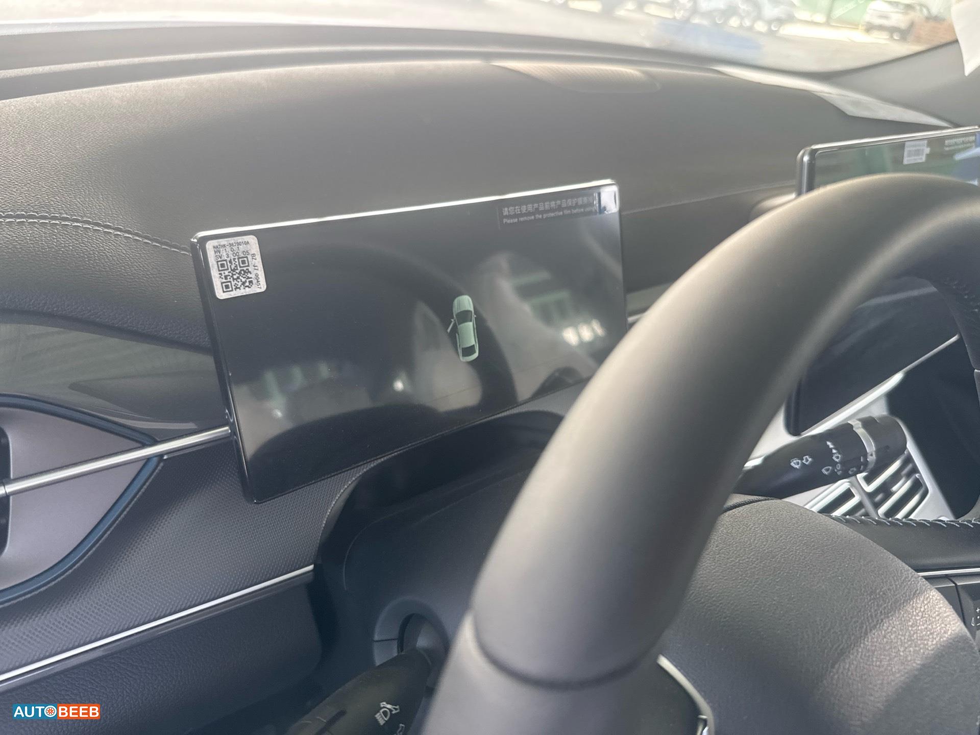 بي واي دي ديستروير 2025