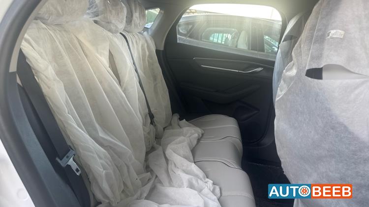 بي واي دي ديستروير 2025