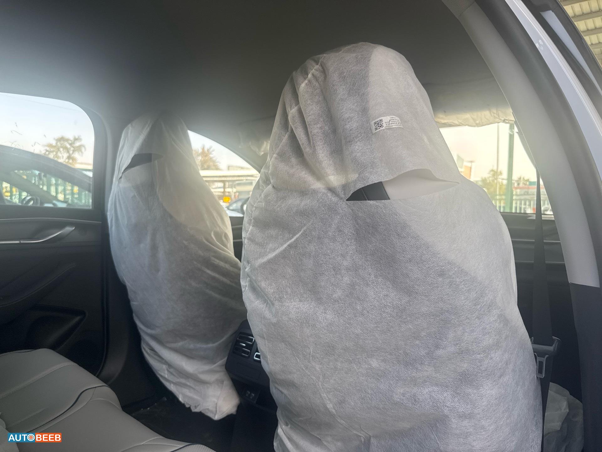 بي واي دي ديستروير 2025