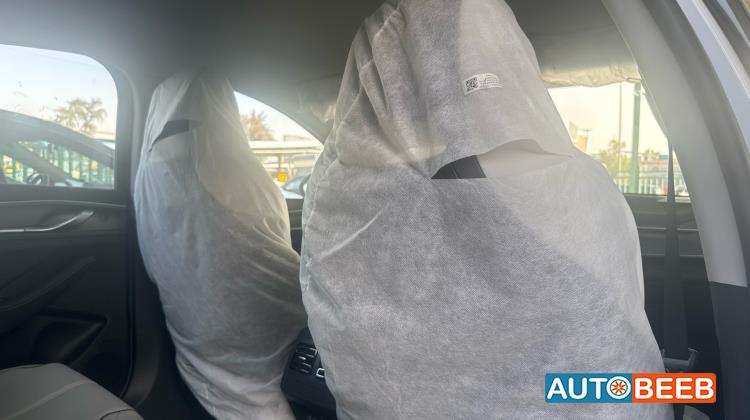 بي واي دي ديستروير 2025