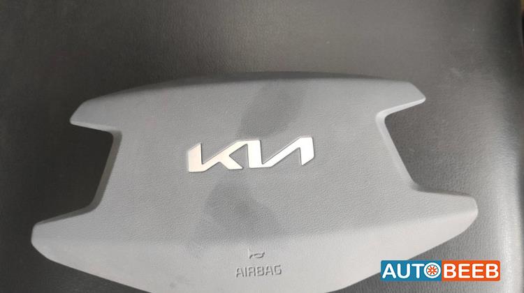 Cabin  Steering Wheel KIA Niro