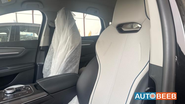 BYD Destroyer 05 2025