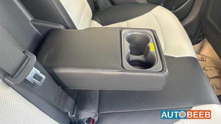 هيونداي ايونيك 2020