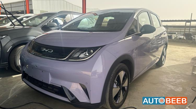 BYD Dolphin 2023
