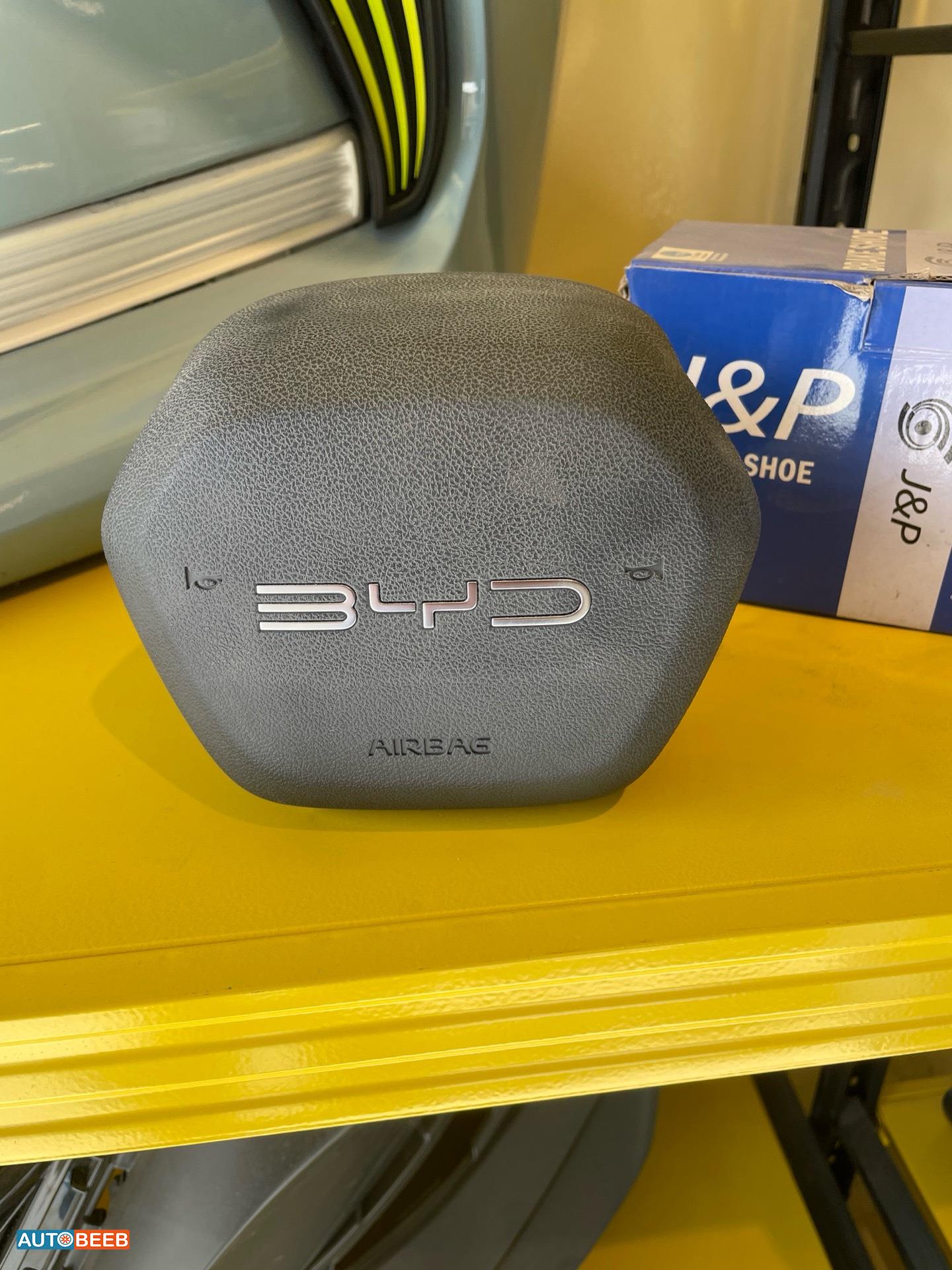 Cabin  Steering Wheel BYD Destroyer 05