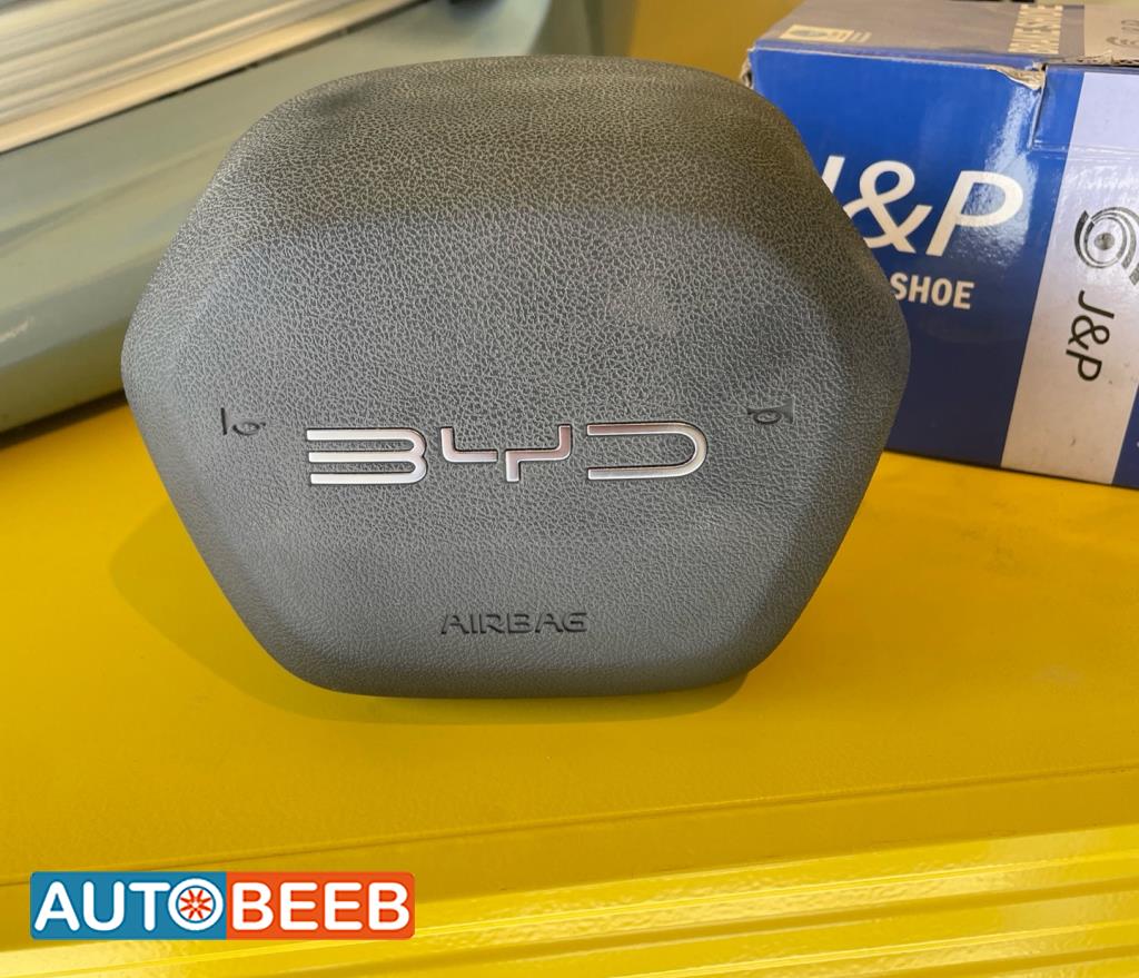 Cabin  Steering Wheel BYD Destroyer 05