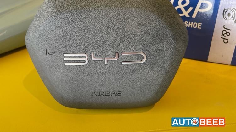 Cabin  Steering Wheel BYD Destroyer 05