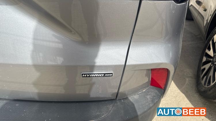 فورد اسكايب 2021