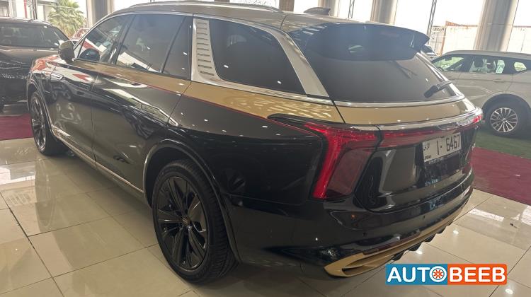 هونشي E-HS9 2021