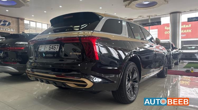 هونشي E-HS9 2021