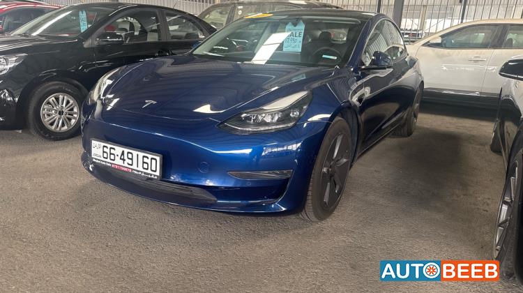 Tesla 3 2021