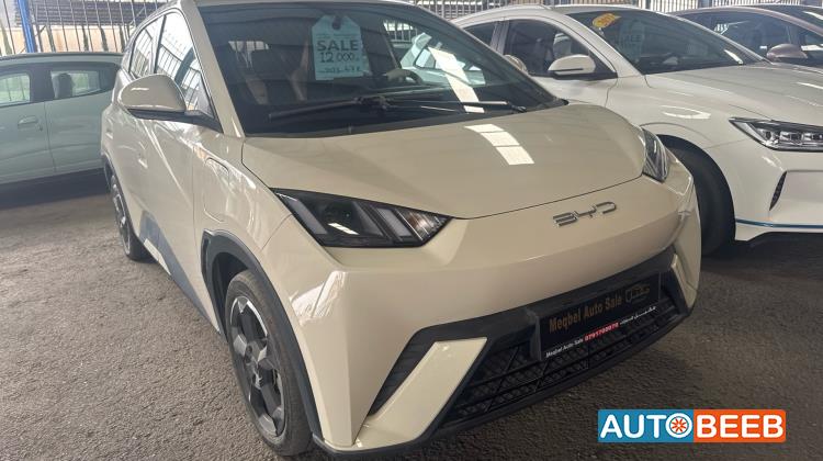 بي واي دي سيجول 2023