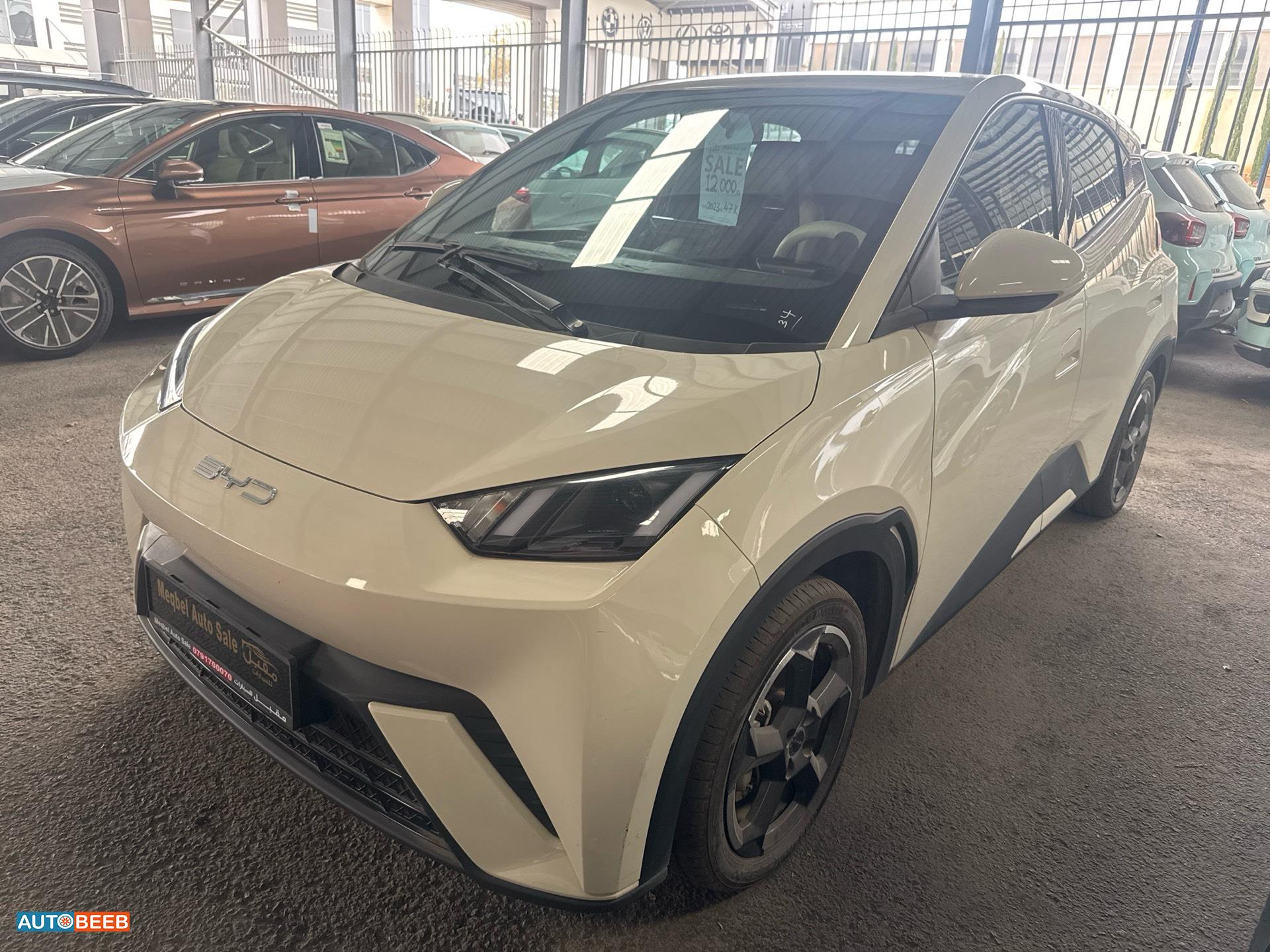 بي واي دي سيجول 2023