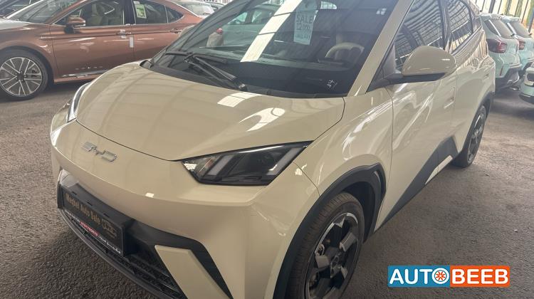 بي واي دي سيجول 2023