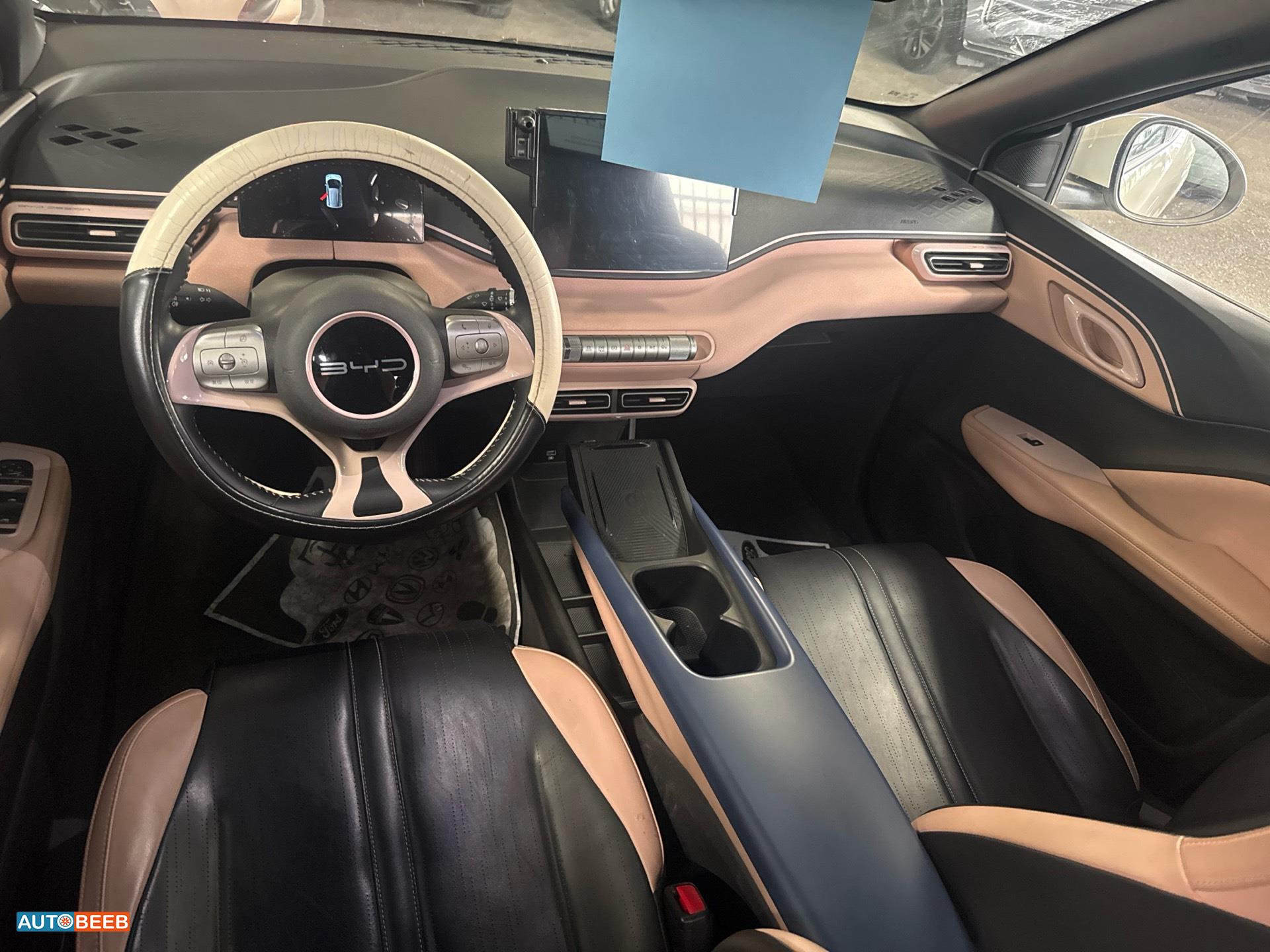 بي واي دي سيجول 2023