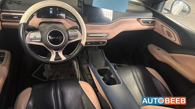 بي واي دي سيجول 2023