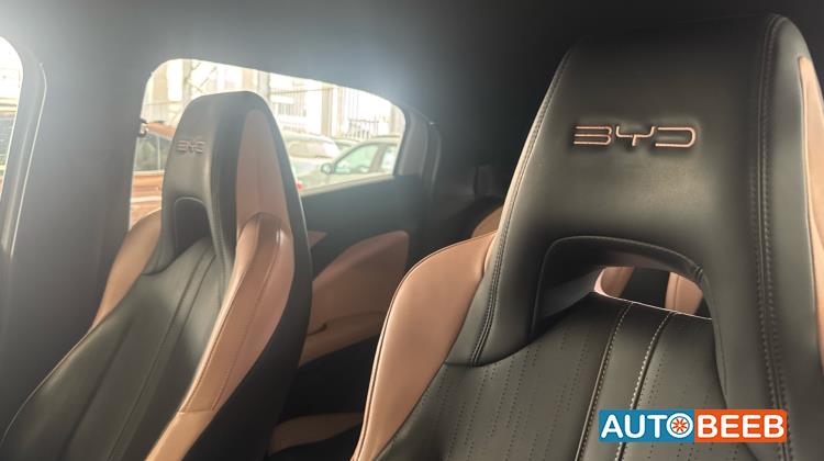 بي واي دي سيجول 2023