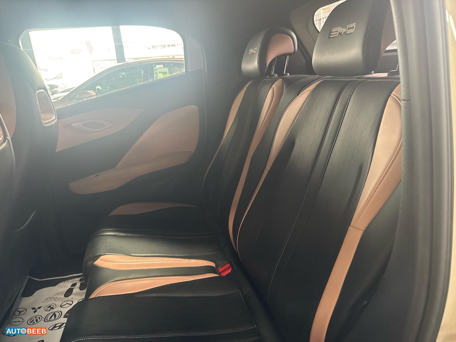 بي واي دي سيجول 2023