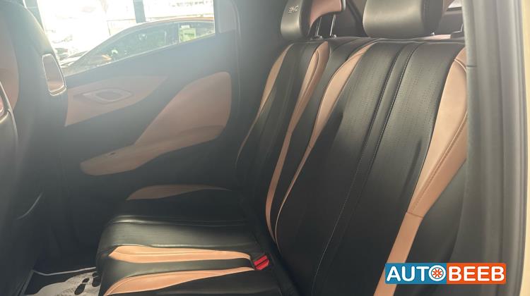 بي واي دي سيجول 2023