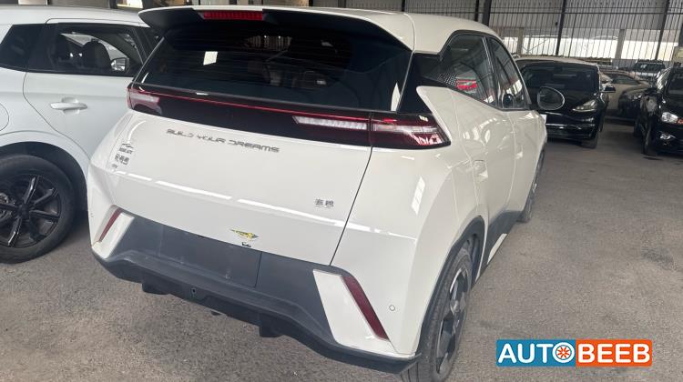 بي واي دي سيجول 2023