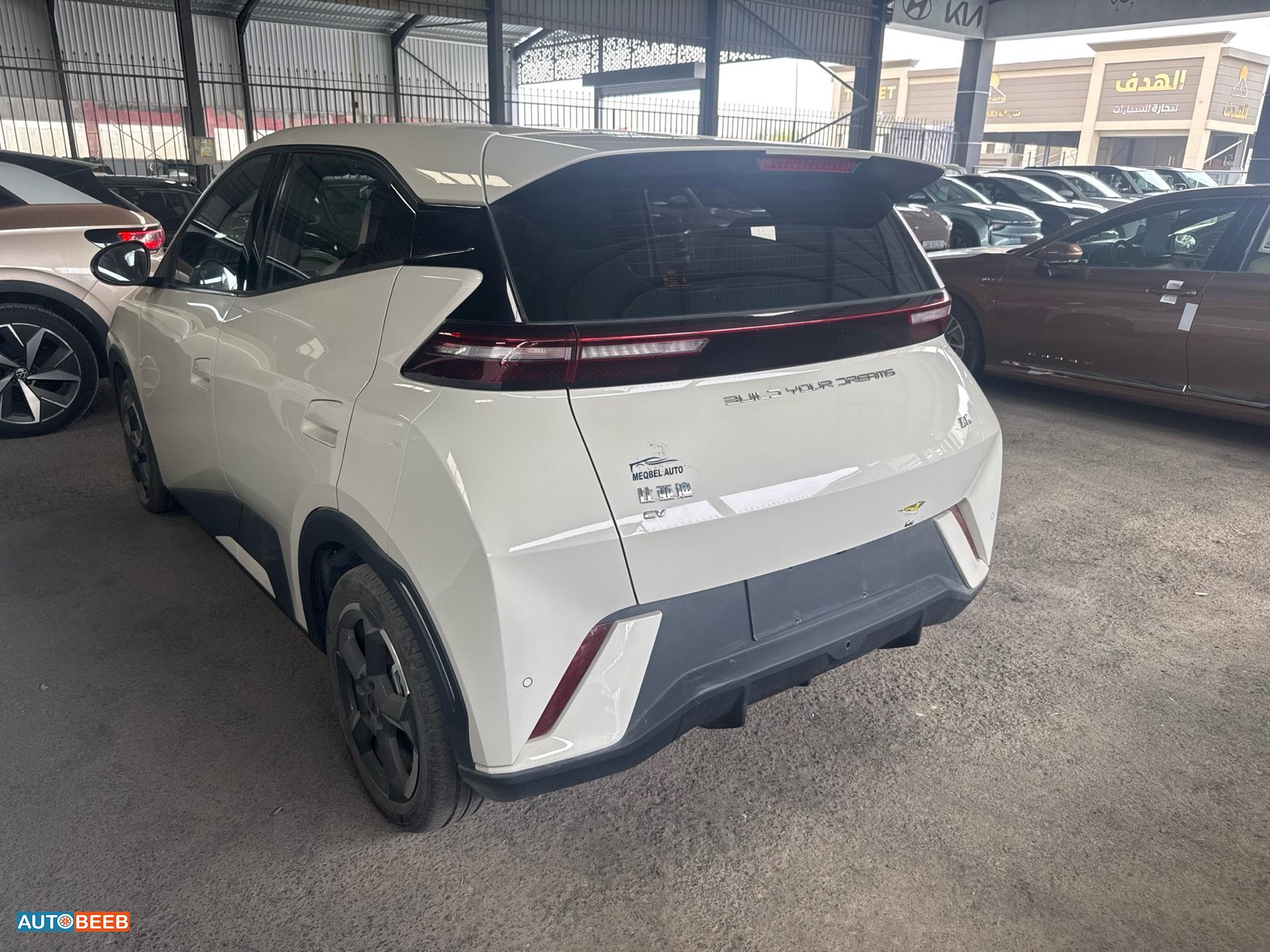 بي واي دي سيجول 2023