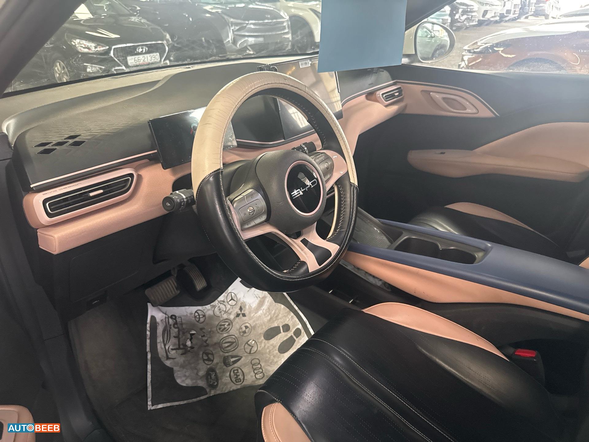 بي واي دي سيجول 2023