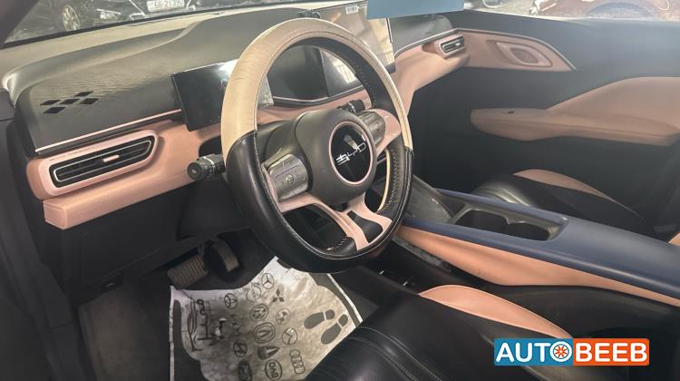 بي واي دي سيجول 2023