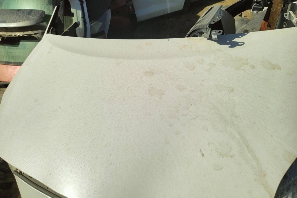 غطاء محرك تويوتا بريوس 2010 2011 2012 2013 2014