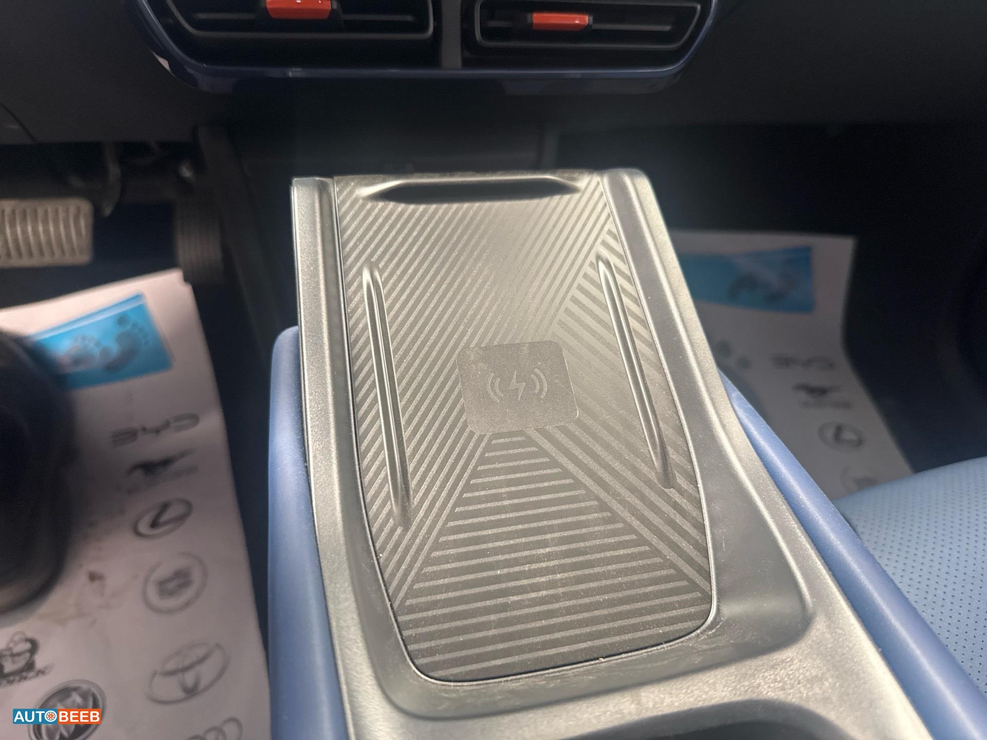 بي واي دي سيجول 2025