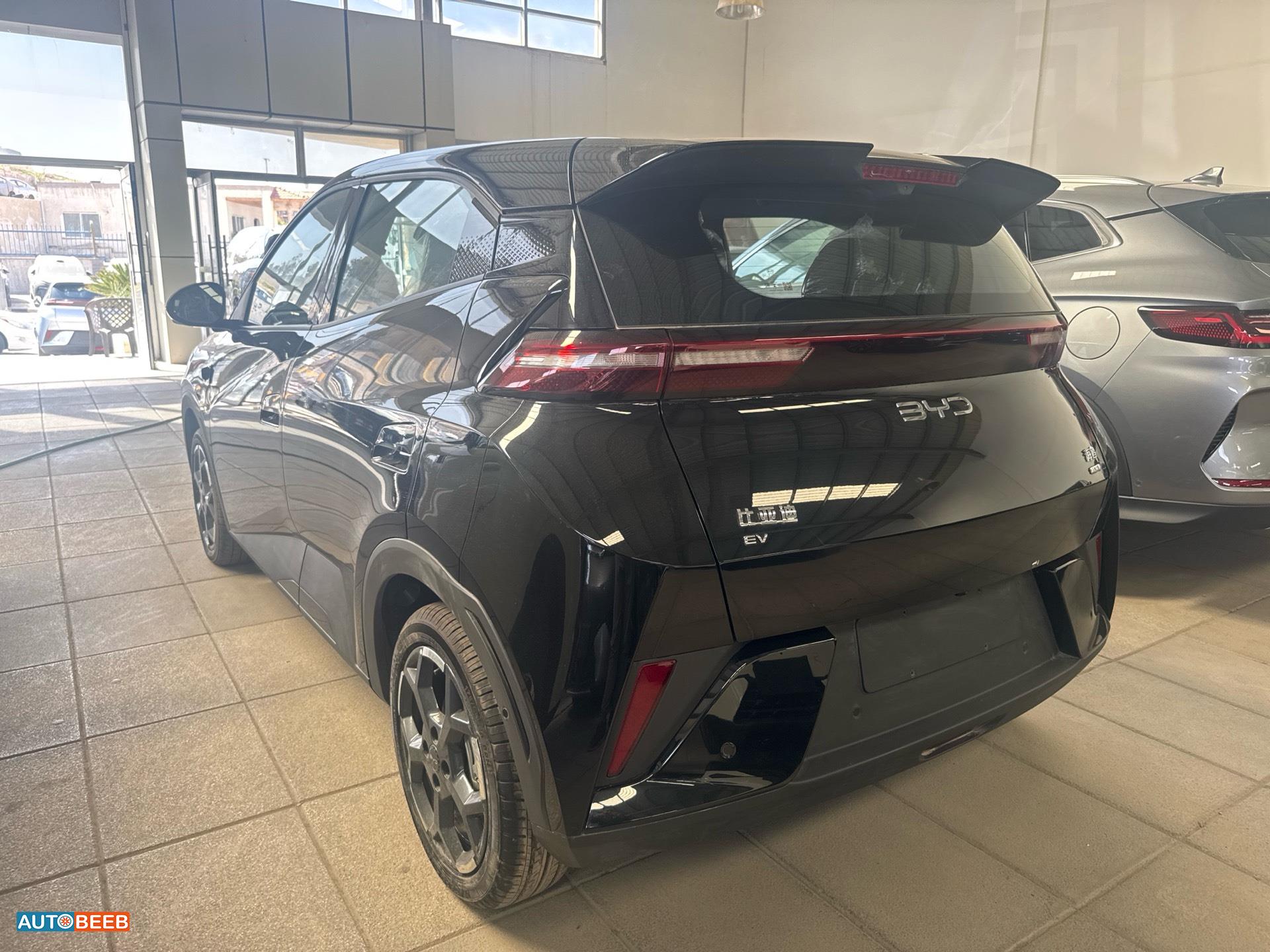 بي واي دي سيجول 2025