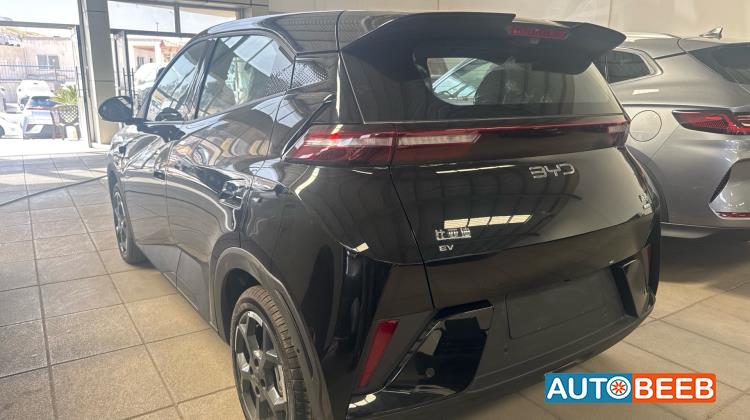 بي واي دي سيجول 2025