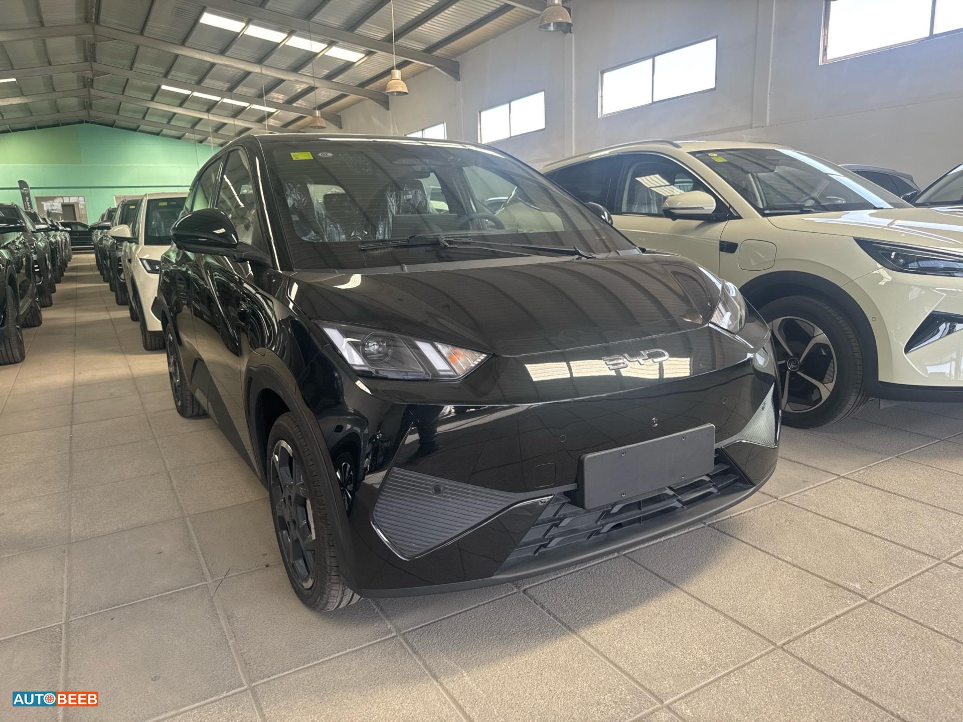 بي واي دي سيجول 2025