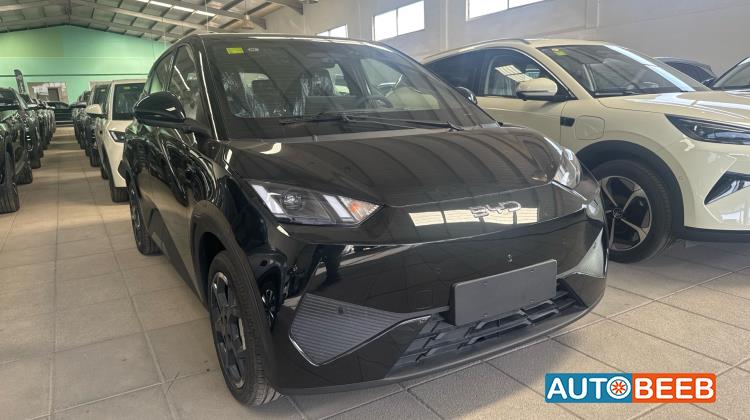 بي واي دي سيجول 2025